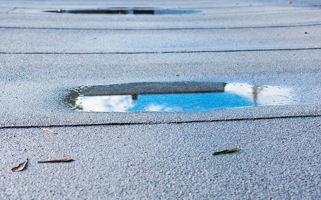 The Roof’s Cry for Help: A Guide to Tackling Commercial Roof Leaks